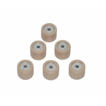 Rollenset Piaggio & Vespa 19x15,5mm 7,5 gram origineel