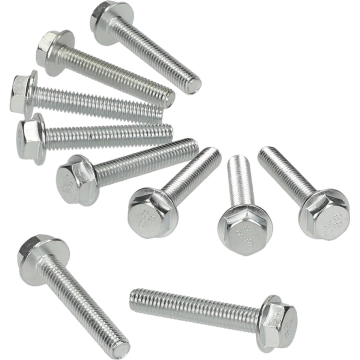 Flensbouten set M6x35mm (10 stuks)