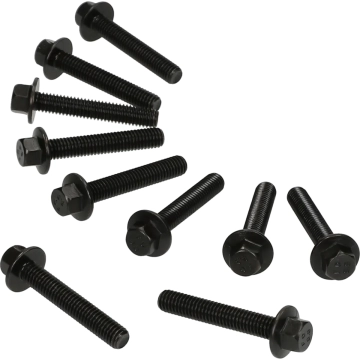 Flensbouten set M6x35mm zwart (10 stuks)