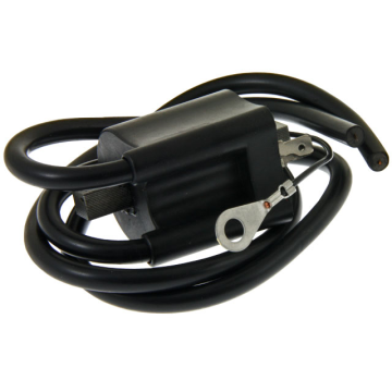 Bobine HPI - Voor HPI ontstekingen - 2 Uitgangen - Zwart (HPI-068V007)
