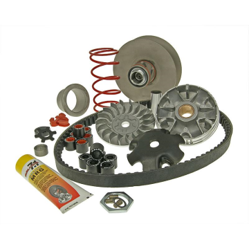Overrange Malossi MHR Minarelli 50cc 2 Takt (Kort carter) (MAL-6112812)