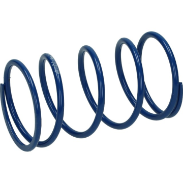 Drukveer Polini blauw 30kg voor Gilera, Piaggio en Vespa 125cc - 150cc 4 Takt