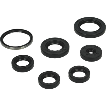 Keerringset compleet Piaggio 50cc 2 Takt (T4T-082103)