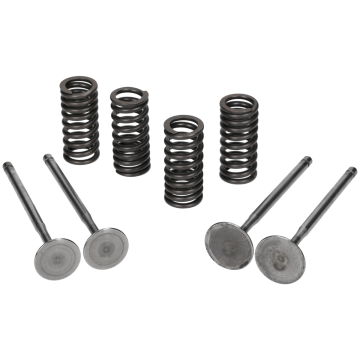 Kleppen Malossi Oversize voor Piaggio & Vespa 125 – 300cc 4 takt (MP3, Vespa GTS)