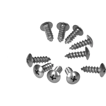 Mezoly -  schroefset M5x12mm chroom (10 stuks)