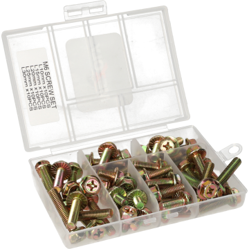 Assortimentsdoos bouten kruiskop M6 50-delig