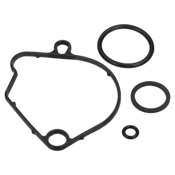 Pakkingset carburateur Mokix Honda Wallaroo 