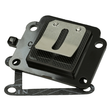 Membraan carbon Top Performance Minarelli Verticaal