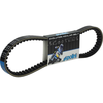 V-Snaar Polini - Speed Belt Evolution Kevlar - Gilera & Piaggio -  Lang model (POL-248.037.2)