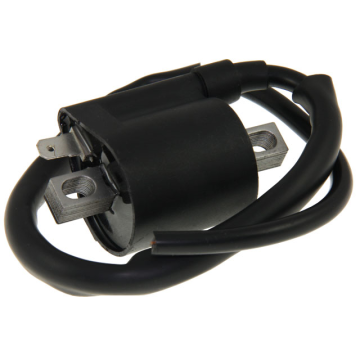 Bobine HPI - Voor HPI ontstekingen - 1 Uitgang - Zwart (HPI-068V186)