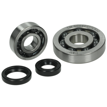 Krukaslagerset DMP voor Piaggio & Vespa 50cc 4 Takt 2V