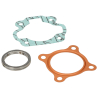 Cilinder pakkingset 50cc voor yamaha FS1 (Topset)
