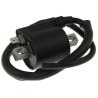 Bobine HPI - Voor HPI ontstekingen - 1 Uitgang - Zwart (HPI-068V186)