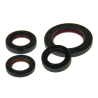 Keerringset Malossi - FKM / PTFE - Piaggio 50cc 2 Takt (MAL-6618160)