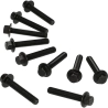 Flensbouten set M6x35mm zwart (10 stuks)