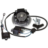 Ontsteking PVL Digitaal Honda (MB / MT / NSR) (PVL-1007-90-973-G)