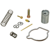Revisieset voor Bing 19mm carburateur (Puch Maxi, Zundapp)