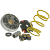 Malossi - Variateurset  Multivar Peugeot Fox, Rapido / Honda Vision, Wallaroo