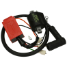 Bobine / CDI Top Performance Variable Advance Gilera & Piaggio