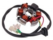 Ontsteking DMP voor Minarelli AM6 / Derbi EBE50 / Derbi EBS50 / Minarelli Horizontaal (Model Ducati)