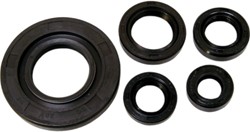 Keerringset suzuki katana / aprillia SR2000 morini motorblok / suzuki street magic / TGB delivery / TGB 507 / TGB 303 R / TGB 104 2-Takt / hyosung SF50 - motorblok keerringset