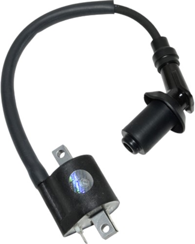Bobine voor Sym Mio 50 4T Origineel 30510-A1A-000