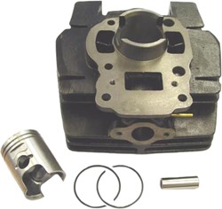Cilinder 50cc Suzuki TSX 50 Allen Modellen