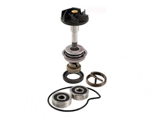 revisiset waterpomp piaggio mp3 / piaggio x9 / x7 / piaggio beverly 250cc / gilera nexxus