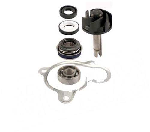 revisiset waterpomp yamaha majesty 250cc