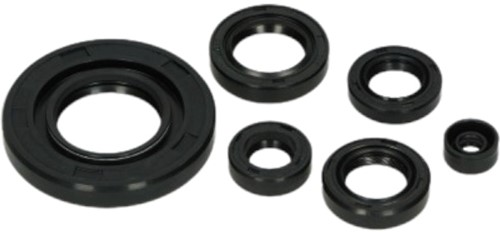 Keerring Set Motorblok DMP voor Honda MB 5 - 6 Delig