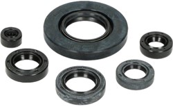 Keerring Set Motorblok BAC voor Honda MB 5 - 6 Delig - Made in EU