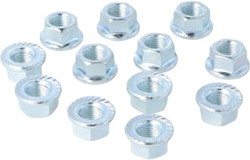 Achtertandwiel Moer Set Honda MB / MT / MTX / NSR / MBX - Maat m10x1mm - 12 Delig