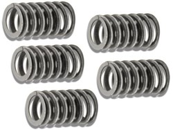 koppelingdrukveer set derbi gpr / gilera gsm / sennda malossi 2912018 - 5pcs