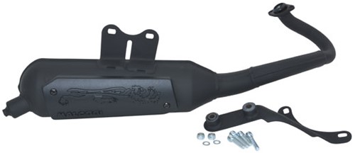 uitlaat malossi vespa primavera 2t / sprint 2t / lx 50 2t / vespa s 2t - Wild lion