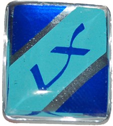 Sierstuk Sticker voorspatbord Vespa LX origineel 656026