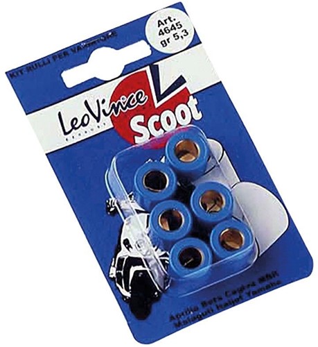 Variateur rollenset Leovince 15x12mm 6,6 gram (6 rollen)