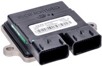 ECU Unit Euro4 Snel China GY6 4T Scooter Injectie Dellorto Systeem Rongmao (Onbegrensd) 