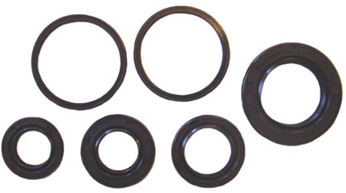 Keerringset peugeot buxy / peugeot speedake / peugeot speedfight 1-2 / peugeot TKR / peugeot elyseo / peugeot elystar / peugeot looxor / peugeot viva city tot 2008 / peugeot zenith - motorblok complee