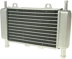 Radiateur Piaggio Zip 2000 SP 50 2T / Gilera DNA 50 / Gilera Runner 50 T/M 2005 Model Origineel 299389
