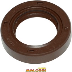keerring maat 19x30x7 malossi