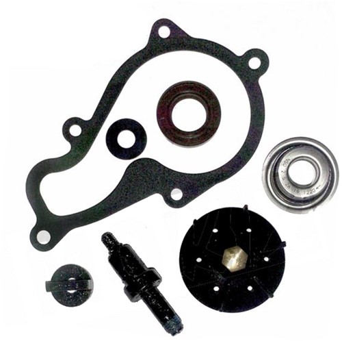 revisiset waterpomp piaggio beverly 350cc 4t 4v v.a 2011 t/m 2013
