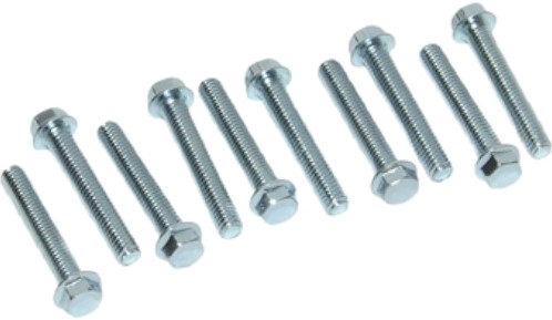carterbout set M6 x 15mm 10 pcs - dop maat 8