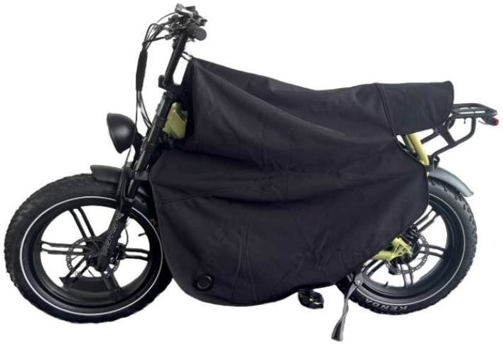 Type 2 ebike new arrivals