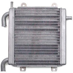Radiateur Yamaha Aerox Tot 2012 Model Origineel 5BR-E2460-01