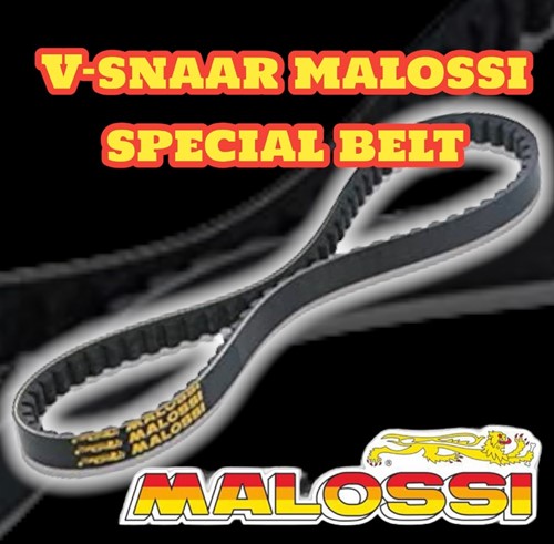 V-snaar Malossi Honda Wallaroo 50 / Peugeot Fox 50 617214-2