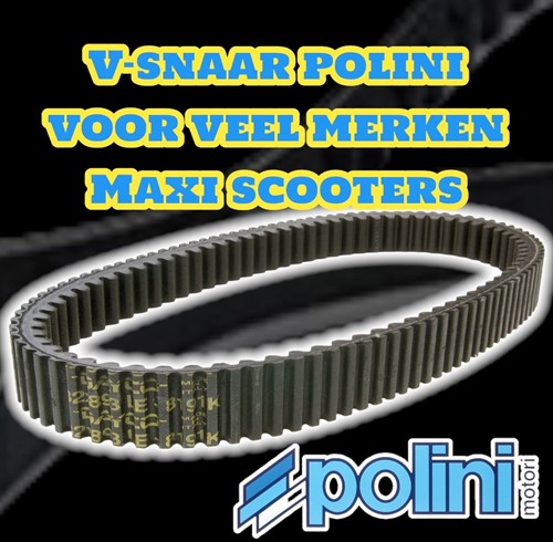 V-snaar Polini Kevlar Aprilia Atlantic 250 / Derbi GP1 250 / Gilera Nexus 300i / Malaguti Madison / Piaggio MP3 / Vespa GTS / Piaggio X9 / Piaggio X8 / Piaggio X7 248.069.1-2