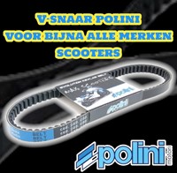V-snaar Polini Sym 125  / TGB 125 maat 815x19,7 248.098-2