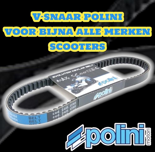 V-snaar Polini Sym 125  / TGB 125 maat 815x19,7 248.098-2