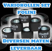 Variateur rollenset Polini 20x17mm 8,5 gram 242.173 Gilera Fuoco / Piaggio Mp3 / Vespa Gts 300 / Gilera Runner 180cc / Piaggio Typhoon 125 / Skipper 125-2