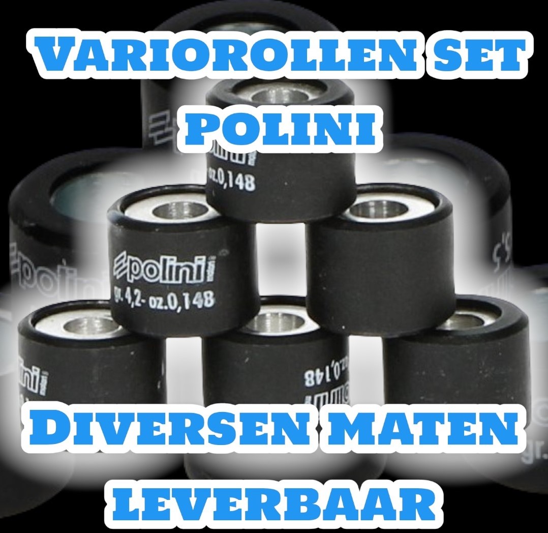 act 1 Variateur rollenset Polini 16x13mm 4,4 gram 242.050 Cityparts